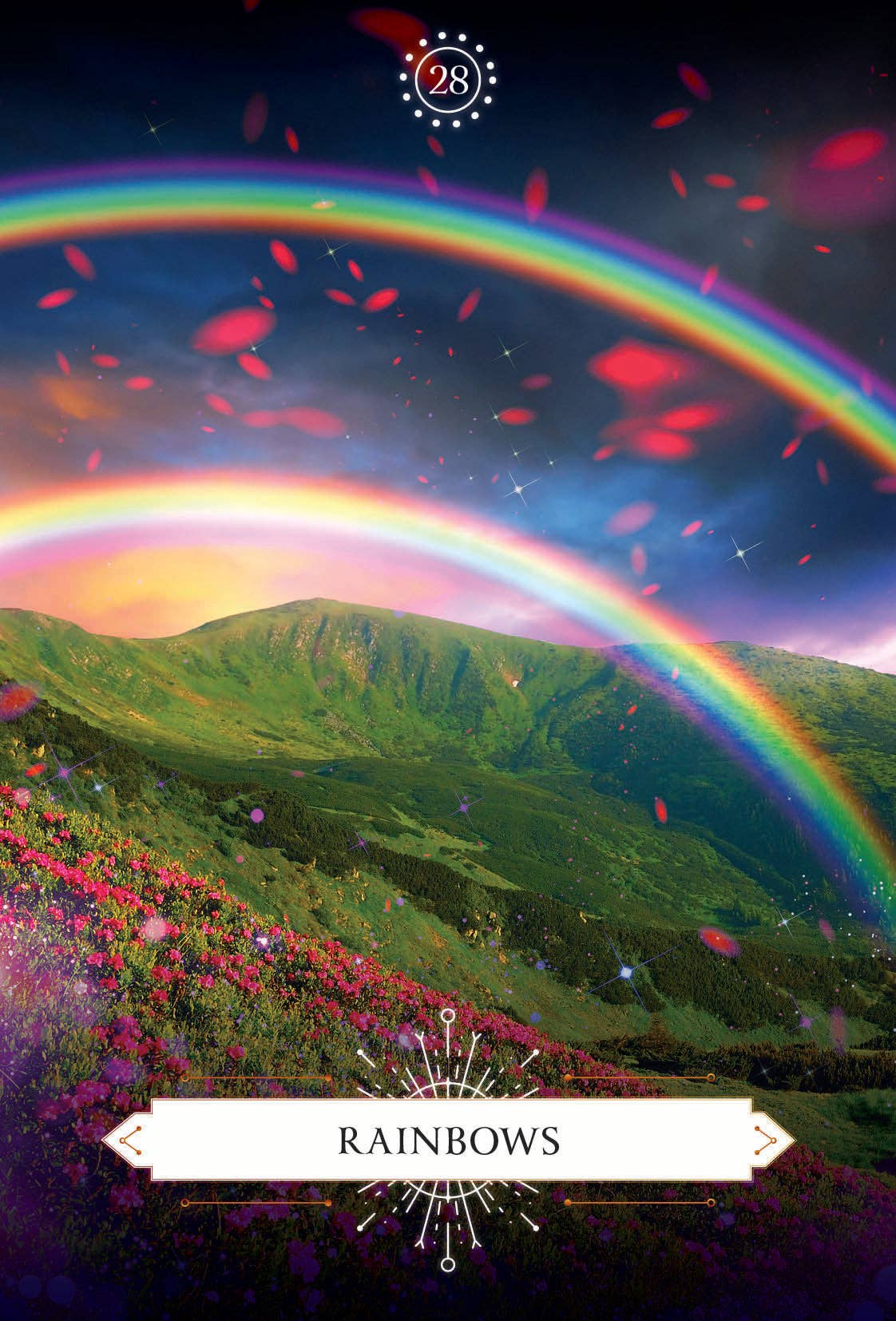 Psychic Reading Cards by Debbie Malone