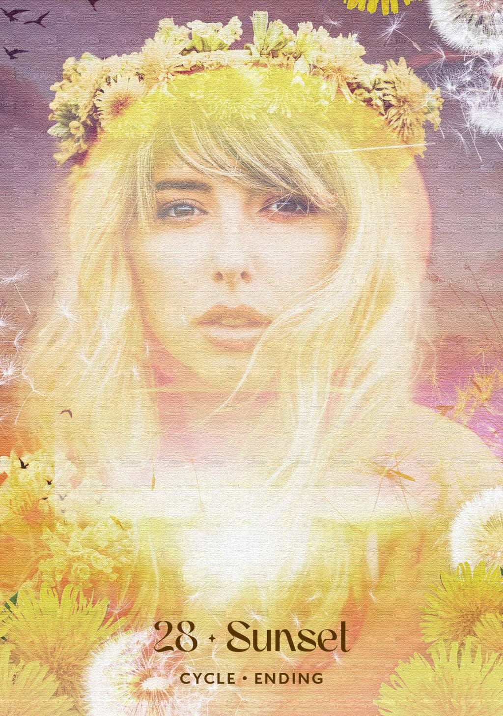 Midnight Sun Oracle Deck by Selena Moon
